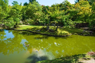 日本庭園イメージ