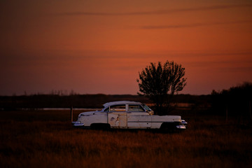 Obraz na płótnie Canvas A vintage four door car abandoned in a pasture with a tree growing through the hood in a sunset prairie landscape