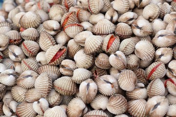 Cockles