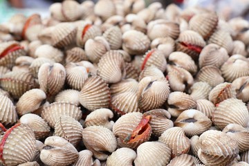 Cockles