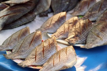 fish at the market
