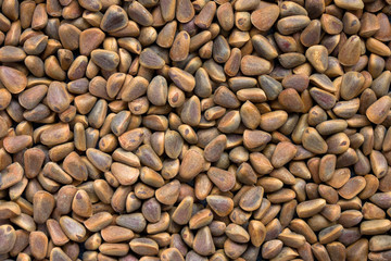 Pine nuts in the shell.