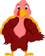 beauty turkey cartoon posing with waving