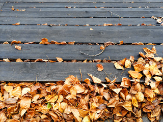 Golden autumn leaves on the wooden bench. Top view. Mobile photo.