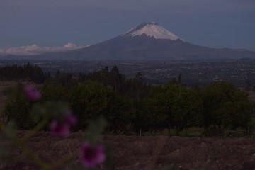 Fototapeta premium Volcan