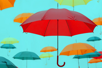 Obraz na płótnie Canvas the umbrella flies background