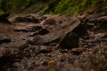 rocks