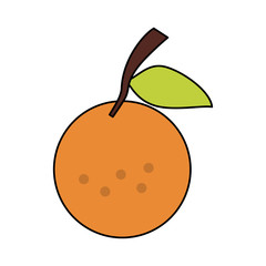 orange fruit icon image vector illustration design 