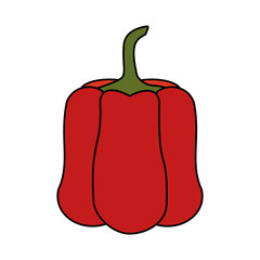 bell pepper vegetable icon image vector illustration design 
