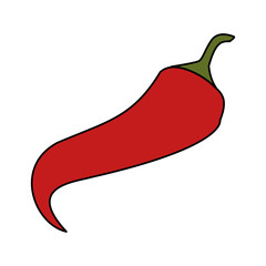 chili pepper vegetable icon image vector illustration design 