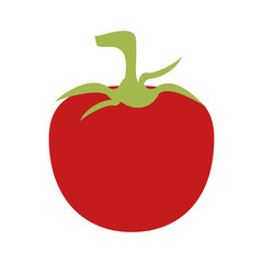 tomato fruit icon image vector illustration design 