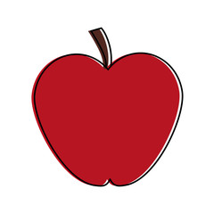 apple fruit icon image vector illustration design 