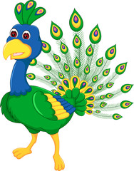 Obraz premium beauty pecock cartoon standing with smile