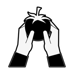 hands holding tomato fruit icon image vector illustration design black and white