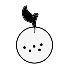 orange fruit icon image vector illustration design  black and white