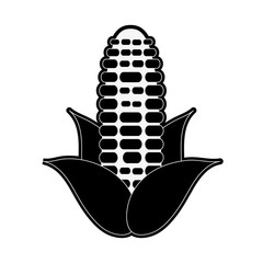 corn knob vegetable icon image vector illustration design  black and white