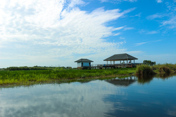 Obraz premium Landscape View at Thalay Noi Waterfowl Park,Phatthalung, THAILAND