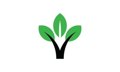 Fototapeta na wymiar Leaf Logo