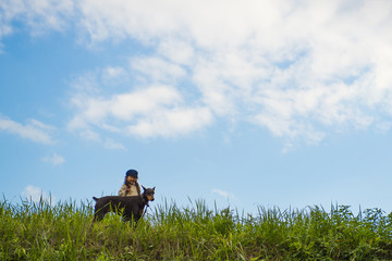 Little girl playing with a dog