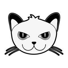 cat face icon image vector illustration design