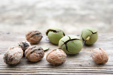Walnuts and walnut seed pods