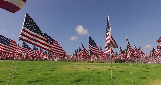 Set of American flags fluttering in the wind on the Memorial Day. Los Angeles, California, USA.