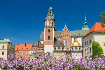 The Wawel Castle in Cracow