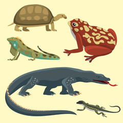 Reptile and amphibian colorful fauna vector illustration reptiloid predator reptiles animals.