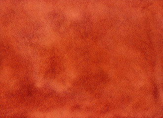 Texture and background of soft velvety skin, suede.