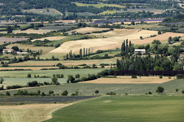 Fototapeta premium Patchwork of Farmer's fields in valley below Sault, Provence France