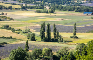Patchwork of Farmer's fields in valley below Sault, Provence France