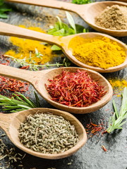 Assortment of colorful spices in the wooden spoons.
