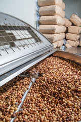 The processing of dry fruit: shelled hazelnuts inside the machine for the peeling and blanching precess