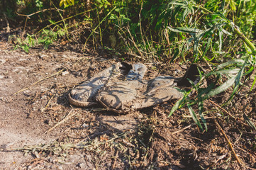Old dirty grey sneakers abandoned on the ground. Toned, style photo.