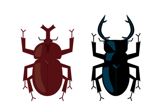 カブト虫 Images Browse 1 075 Stock Photos Vectors And Video Adobe Stock