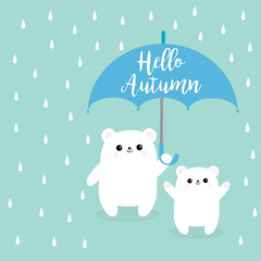 Hello autumn. Two polar white small little bear cub holding umbrella. Rain drops. Cute cartoon baby character. Arctic animal collection. Love card Blue background. Isolated.
