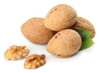 Green walnuts with leaves isolated on a white background