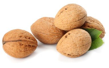Green walnuts with leaves isolated on a white background