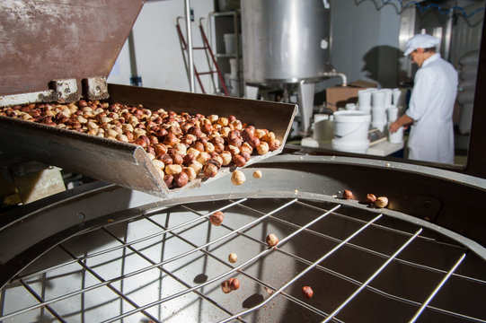 The processing of dry fruit: just shelled hazelnuts falling on a metal basin for the making process hazelnut cream