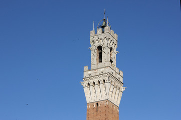 Fototapeta na wymiar Torre del Mangia, Piazza del Campo, Siena