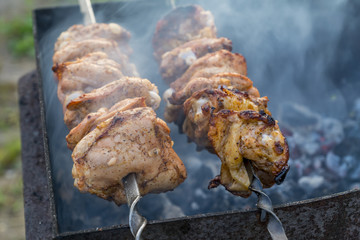 shashlik preparing on a barbecue grill over charcoal