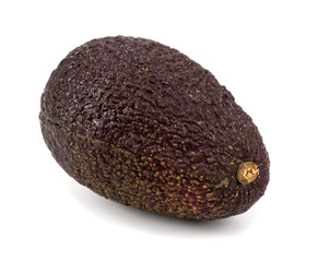 avocado on white background
