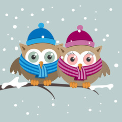 Couple of owls with scarf on a winter day