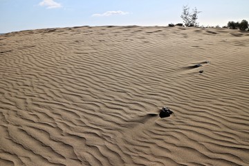 Desert sand with small stones