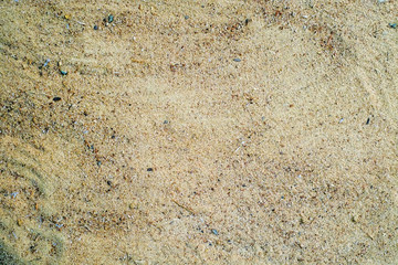 Sawdust background