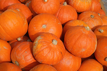 Orange pumpkins