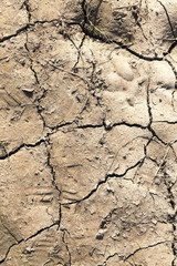 ground crack