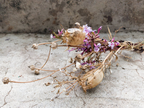 Wild Flower Posy