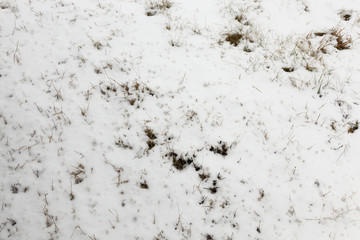 After snowfall