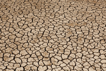 Dried Land Suffering from Drought
